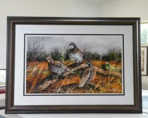 professional custom frame design