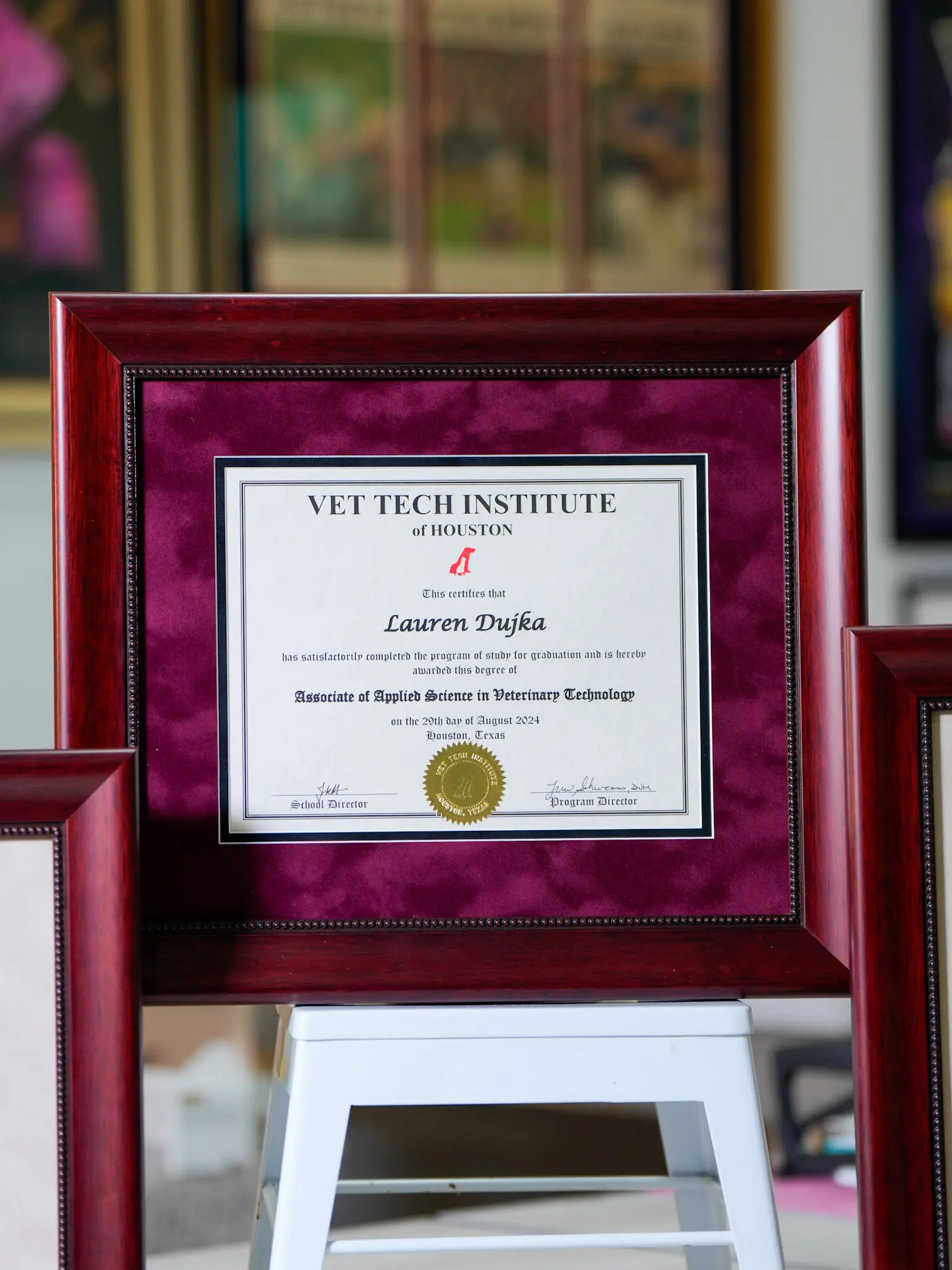 Veterinary technology diploma professionally framed in cherry wood frame with burgundy suede matting - custom diploma framing services GQ Frames Houston