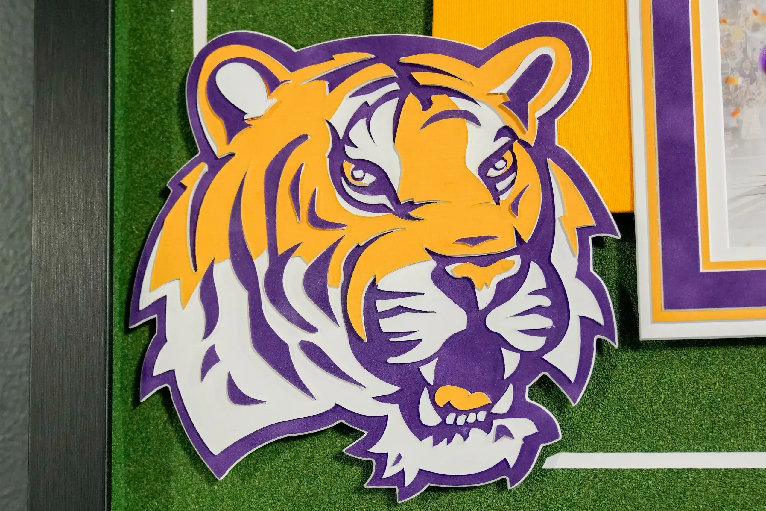 A tiger head on the field of a soccer field.