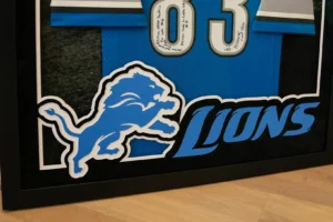 Framed Detroit Lions team logo displayed in black frame