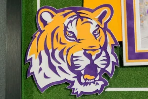 Framed mascot tiger artwork in bold colorful design