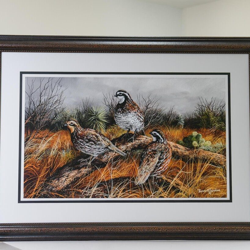 professional custom frame design